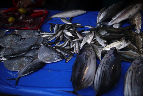 フィリピンの露店の魚