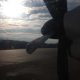 IMG 3727